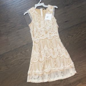 Gorgeous lace dress NWT